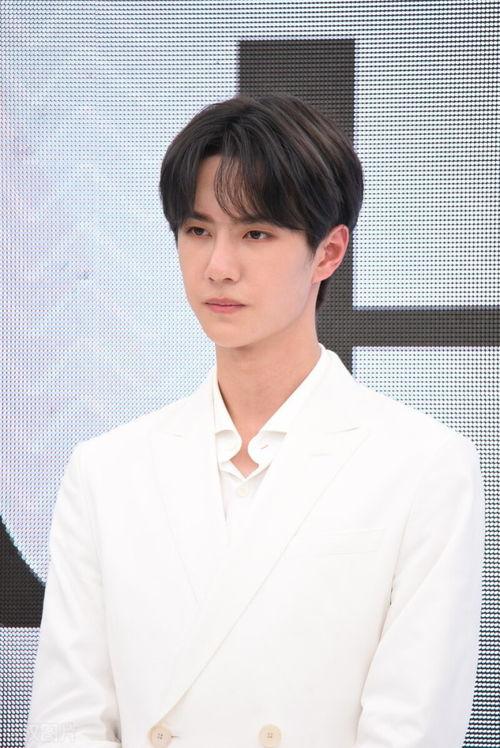 娱乐吃瓜肖战王一博,娱乐圈的瓜田,谁主沉浮?